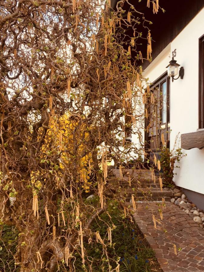 Apartament Hegau-lounge-bodensee *